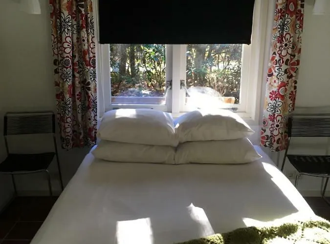 Kleine Op De Veluwe Otterlo